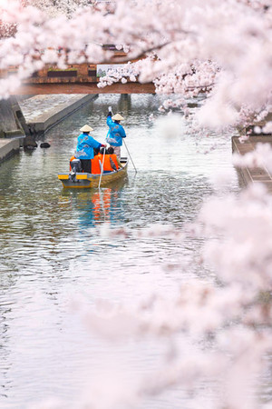▲搭盆舟賞櫻，預約2018春浪漫遊日本西美濃最美絕景。（圖／翔笙旅遊提供）