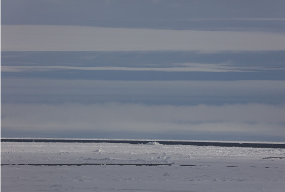 大陸第八次北極科學考察隊96名隊員完成了83天的首次北極業務化調查，10日乘「雪龍」號順利返回位於上海的大陸極地考察國內基地碼頭。（圖／新華社）