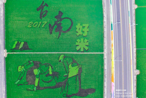 ▲2017台南好米季,稻田彩繪,台南旅遊。（圖／攝影師《飛翔在天際》提供，，請勿隨意翻拍，以免侵權。）