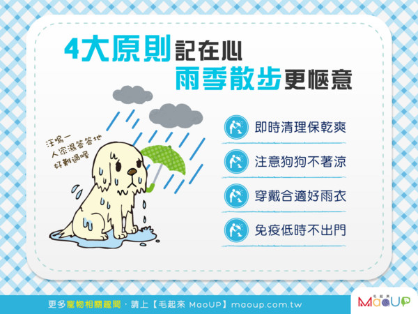 【雨季出門趣】4大原則記在心，雨季散步更愜意！（圖／毛起來 MaoUp）
