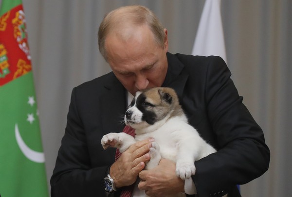 ▲▼俄羅斯總統普丁得到新寵物。（圖／路透社）