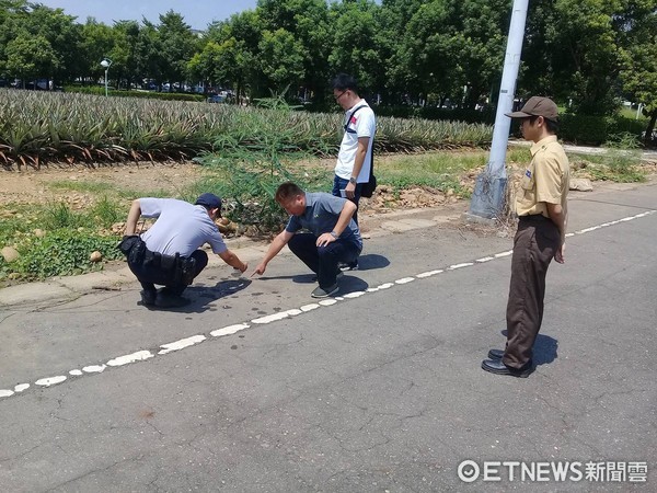 中正大學浪浪一週死9隻！　毒狗婦人遭逮（圖／嘉義市動物守護協會授權提供）