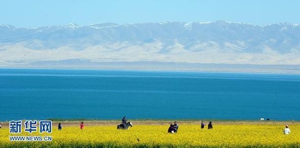 青海湖為中國最大的內陸高原鹹水湖。（圖／翻攝自新華網）
