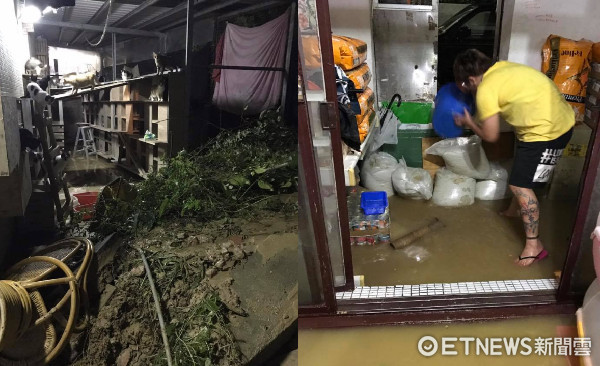 ▲大雨沖垮牠們的家...汐止80隻浪浪困泥堆　愛媽急哭求助。（圖／粉專「月月的貓狗星球」授權提供）