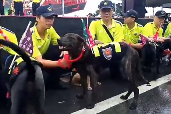 台南警局警衛犬。（圖／翻攝自阿仁局長室）