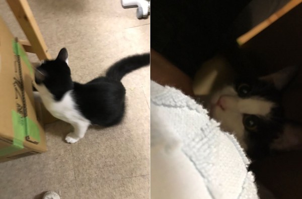 天氣變冷了，所以做了一個自動暖腳裝置（圖／翻攝自twitter：@fuxxxxxroxxka）