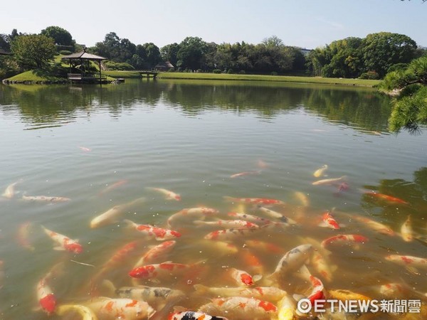 ▲岡山後樂園與岡山城。（圖／記者彭懷玉攝）