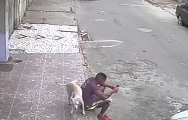 巴西男坐路邊滑手機，流浪狗聞一聞抬腿尿。（圖／翻攝自Nóis é pobre, feio e cachaceiro粉專）