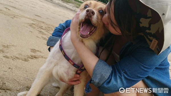 愛犬活不過2個月，媽媽帶牠重回當初相遇的海灘。（圖／網友曾詩晴提供，請勿隨意翻拍，以免侵權。）