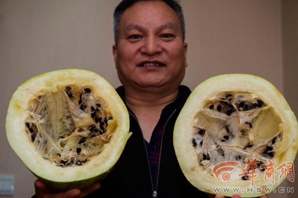 ▲西安牛先生展示放置了3年的西瓜，雖然果肉都乾掉了，但切開時仍有著清香。（圖／翻攝自陸網，下同）