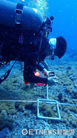 東管處為推動海洋生態保育，培訓綠島潛水愛好者與執業人員具備綠島亞潮帶海洋生態監測能力，辦理「綠島水域潛點生態監測工作坊」。（圖／東管處提供）