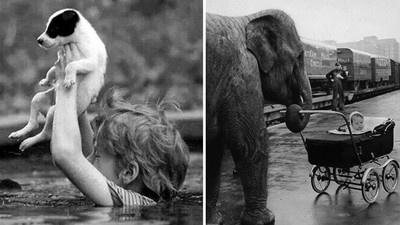 男孩跳水救小狗、大象幫忙顧嬰兒...10張未PS照片讓你淚奔