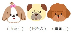 狗狗老是哭哭臉？快來看造成淚痕的5大原因！（圖／毛起來 MaoUp）