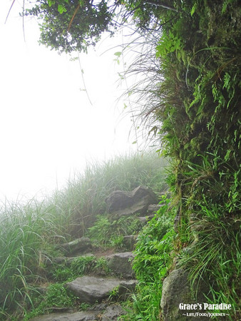 ▲台北秘境陽明山夢幻湖。（圖／葛瑞絲提供）