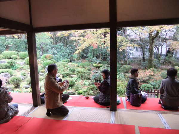 ▲美到失心楓！流轉京都琵琶湖楓情。（圖／鳳凰旅遊提供）