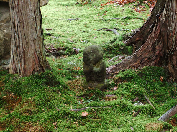 ▲美到失心楓！流轉京都琵琶湖楓情。（圖／鳳凰旅遊提供）