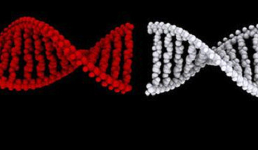 在第一種癌症基因療法獲得批准上市僅一個多月後，美國政府又批准第二種基於改造患者自身免疫細胞的療法治療特定淋巴癌患者。（圖／新華社）