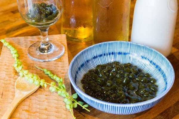 在「金瓜3號」也能用坪林包種茶粉，親自體驗粉圓DIY。