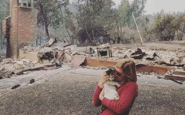 家被燒光　但貓咪活著（圖／翻攝自Laura Ringenberger／Lovemeow）