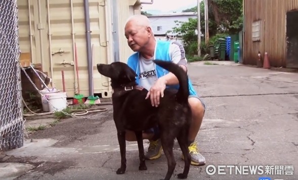 ▲▼只為幫助流浪動物學生0經驗團隊　拍出北市優選微電影。（圖／角落微光提供）