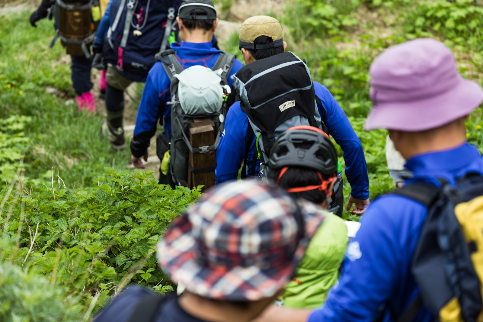 登山（圖／取自免費圖庫pakutaso）