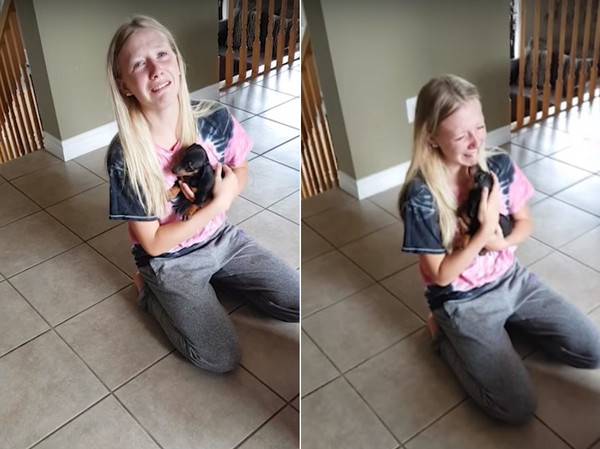 父母送女兒狗狗當畢業禮物，她感動的跪地痛哭。（圖／翻攝自LADbible粉絲專業）