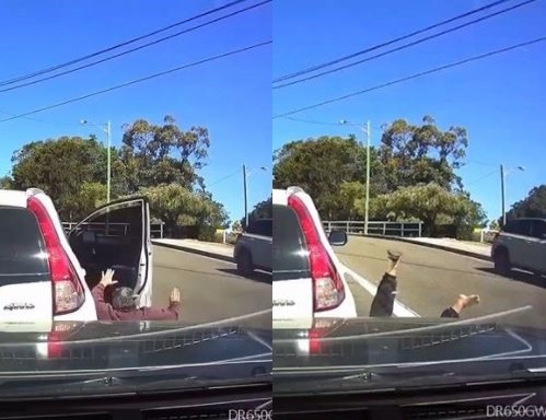 ▲▼澳洲老翁罵人反被自己車撞。（圖／翻攝自Dash Cam Owners Australia臉書）
