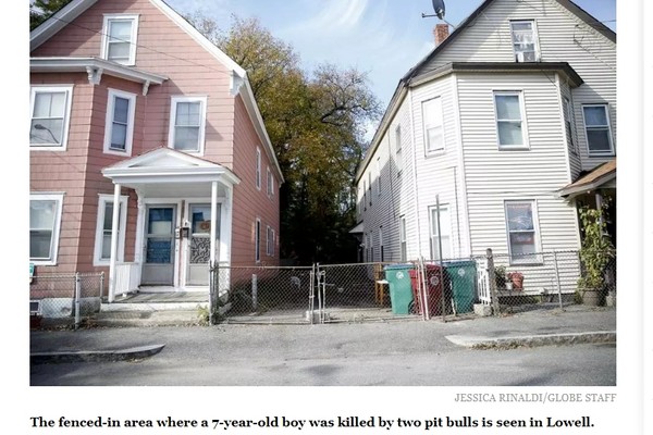 ▲▼7歲男孩亂闖鄰居圍牆，慘遭2鬥牛犬咬死。（圖／翻攝自Boston Globe）