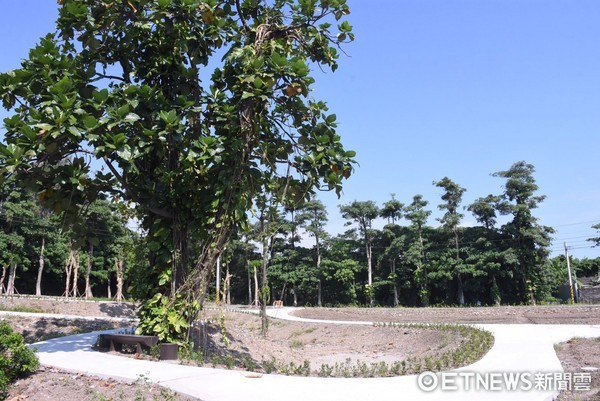 花蓮市介壽眷村社區花園主體架構已完成。市長魏嘉賢希望能透過社區認養，讓社區花園展現百花齊放、綠意盎然的氛圍。（圖／花蓮市公所提供）