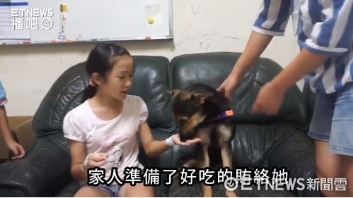 ▲膽小狗米妮領養4天就被退　新主人「大碗雞湯」賄賂成真正家人。（圖／播吧／浪浪別哭）