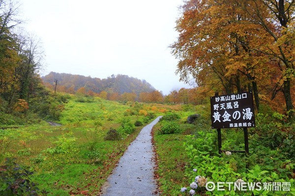 美哭!日本最浪漫野溪温泉「黄金汤」 红叶屏风