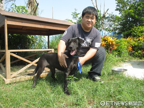 ▲台南市動保處接獲民眾送交之遊蕩動物案件層出不窮，都會積極幫忙找回家的路。（圖／動保處提供）