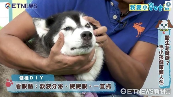 直播／為什麼我家狗狗狂甩頭？毛小孩「耳眼鼻牙」健診DIY