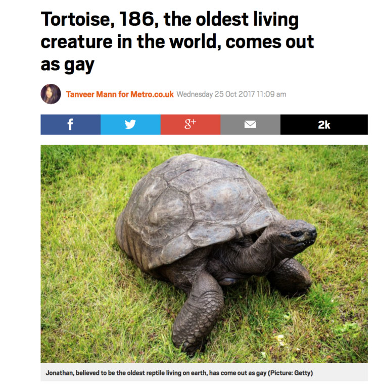 ▲186歲的烏龜：Jonathan。（圖／翻攝Metro）