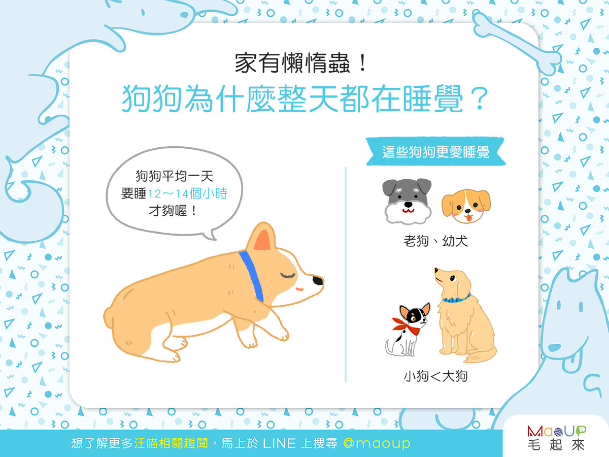 汪星人睡整天 不是懶惰啦 狗狗愛睡覺 背後原因 Ettoday健康雲 Ettoday新聞雲