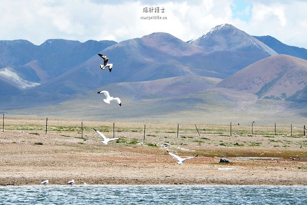 ▲中國西藏旅遊。（圖／爆肝護士提供）