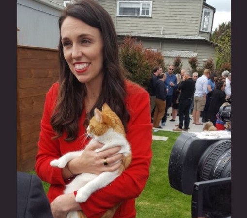 ▲▼紐西蘭新總理與貓             。（圖／翻攝自twitter／@FirstCatofNZ）