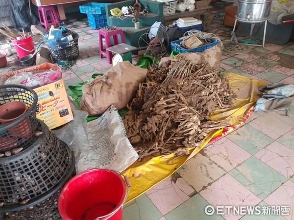 台東縣大武分局太麻里分駐所於北里村山棕寮一處鐵皮屋，查獲毒品安非他命、毒品吸食器、及起獲贓物生薑173公斤，逮捕2女3男。（圖／台東縣警察局提供）