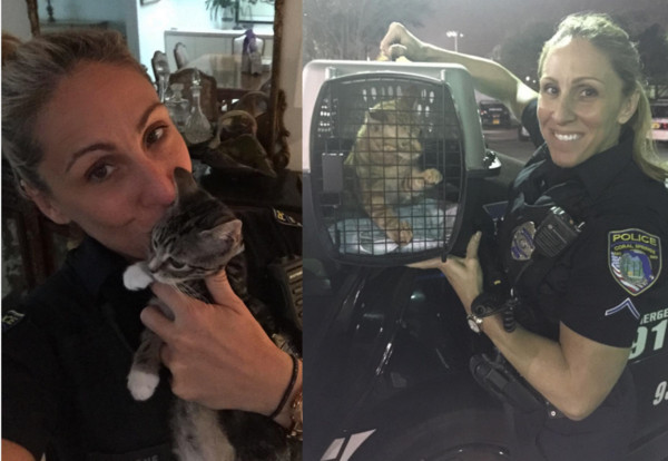 女警2年救63隻貓。（圖／翻攝自Instagram／bocaratona）