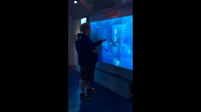 華盛頓間諜博物館嚇人鯊魚（圖／翻攝自YouTube@Casey Peck）