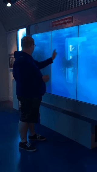 華盛頓間諜博物館嚇人鯊魚（圖／翻攝自YouTube@Casey Peck）