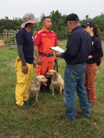 台中搜救犬。（圖／翻攝自臺中GoGo - 狗狗 -臺中搜救犬）