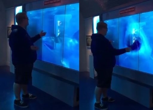▲輕拍水族箱…下秒鯊魚高速「撞破玻璃」　好奇男嚇噴倒地。（圖／翻攝自YouTube／Casey Peck）