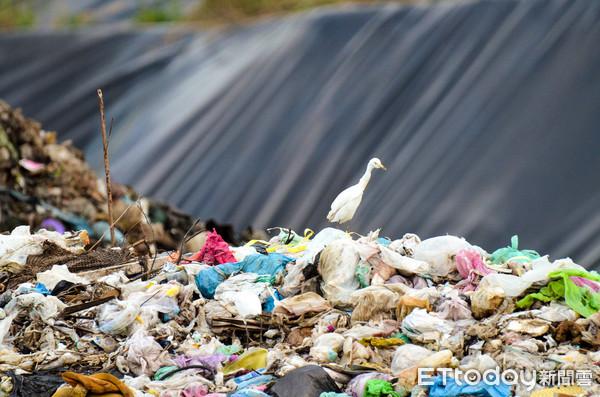▲▼垃圾掩埋場。（圖／資料照）