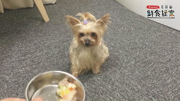 咕溜咕溜創意料理～五彩牛肉凍吃動！（圖／毛起來 MaoUp）