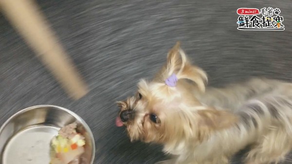 咕溜咕溜創意料理～五彩牛肉凍吃動！（圖／毛起來 MaoUp）