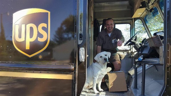 UPS快遞紀錄工作途中遇到的狗狗。（圖／翻攝自UPS Dogs粉專）