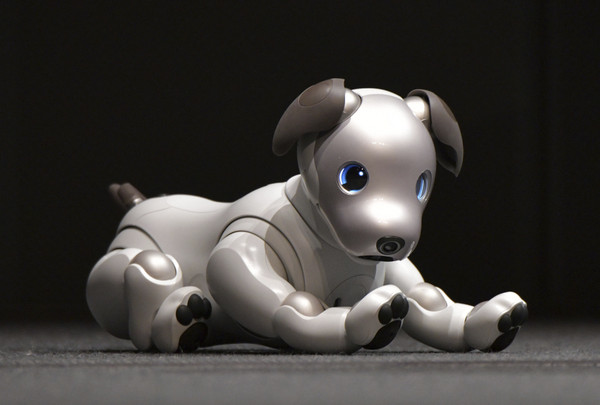 ▲▼sony將於2018年1月推出新版機器狗aibo。（圖／達志影像／美聯社）