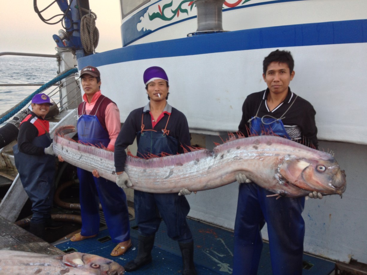宜蘭南方澳漁船No.366春何豐捕獲地震魚。（圖／船員陳皇旗提供）