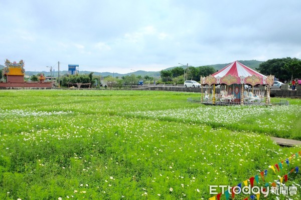 ▲桃園花彩節蘆竹、中壢會場。（圖／記者于佳云攝）